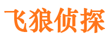 平原市婚姻调查